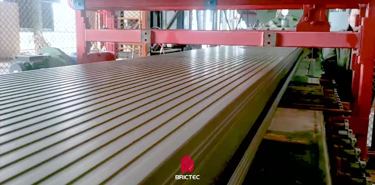 벽돌 제조 기계 중형 양 단계 진공 진압기 3