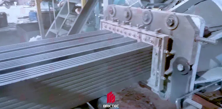 벽돌 제조 기계 중형 양 단계 진공 진압기 4