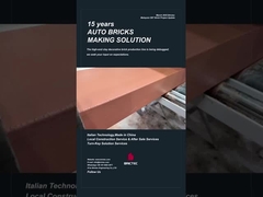 브릭테크 장식 벽돌 생산 라인 추출 시공